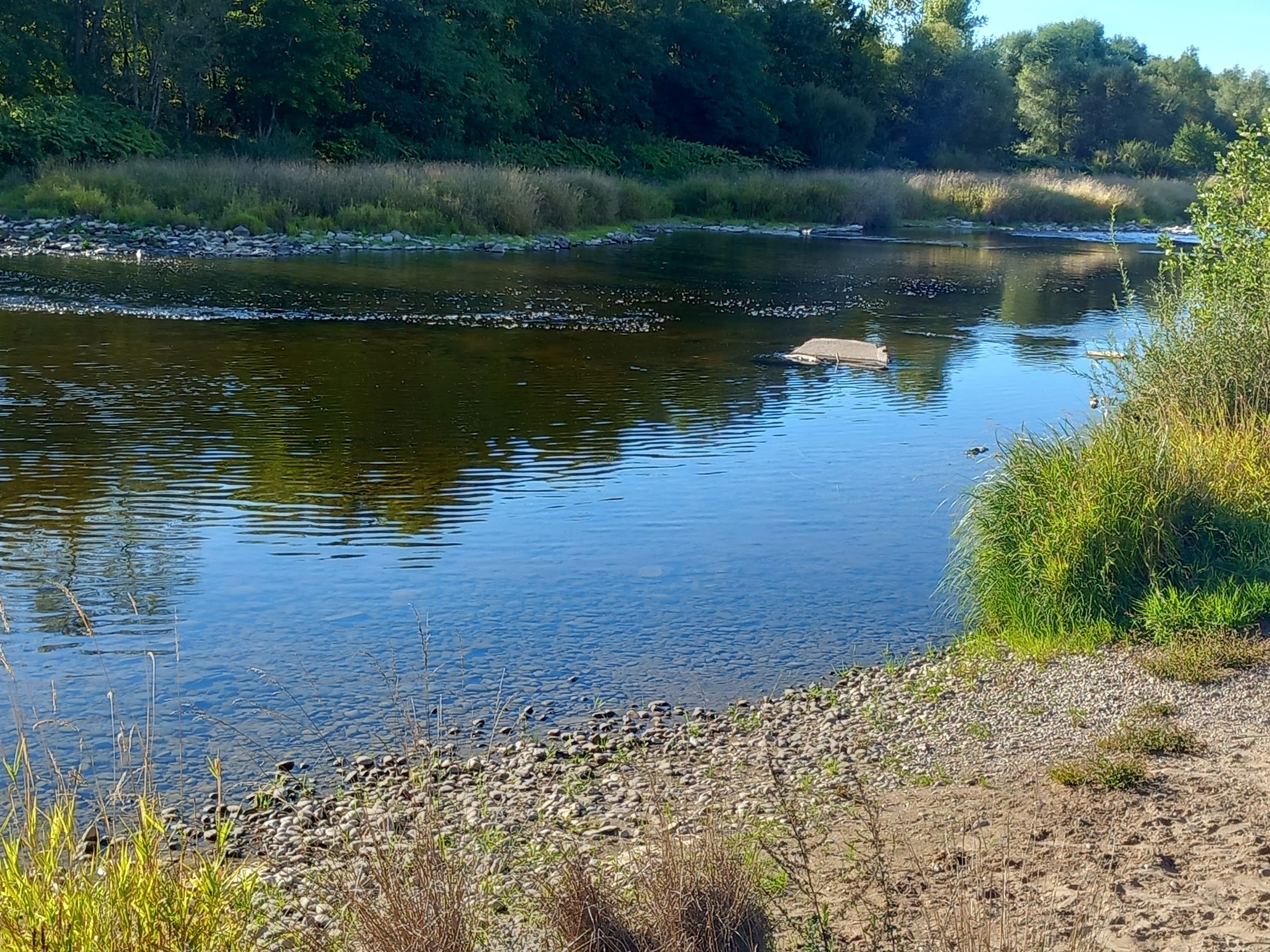 Camping Les Îles (Charmes)